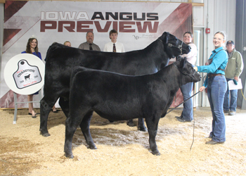 Reserve Grand Champion Owned Cow-calf Pair
