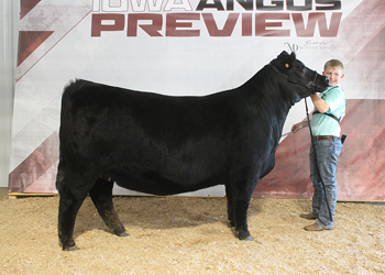 Owned Reserve Senior Champion Female
