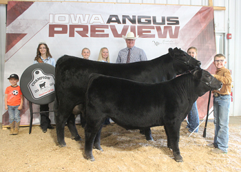 Grand Champion Owned Cow-calf Pair