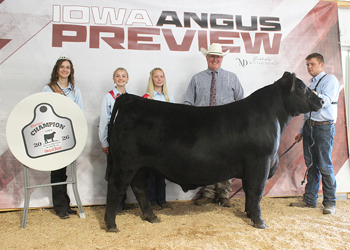 Reserve Grand Champion Steer
