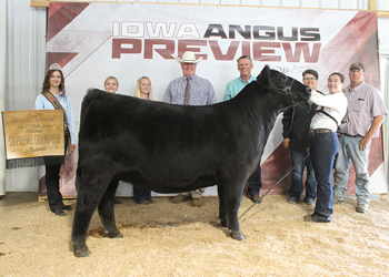 Grand Champion Owned Female