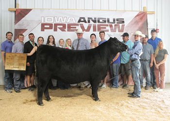 Reserve Grand Champion Owned Female