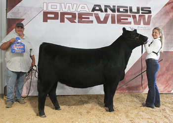 Owned Intermediate Champion Heifer
