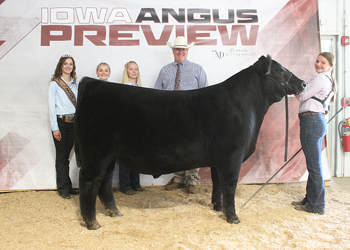 Reserve Grand Champion Bred-and-owned Steer