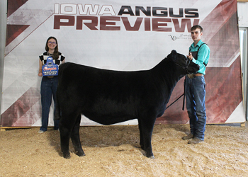 Owned Senior Heifer Calf Champion