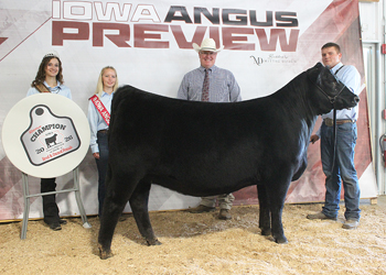 Reserve Grand Champion Bred-and-owned Female