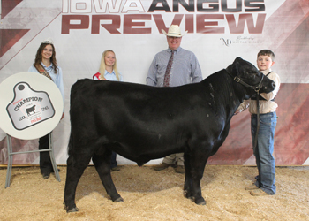 Reserve Grand Champion PGS Bull
