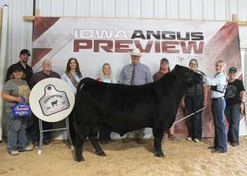 Reserve Grand Champion Bred-and-owned Bull
