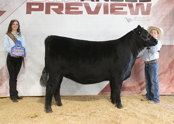 Bred-and-owned Intermediate Champion Heifer