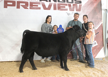 Bred-and-owned Reserve Senior Bull Calf Champion