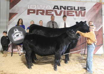 Grand Champion Cow-calf Pair