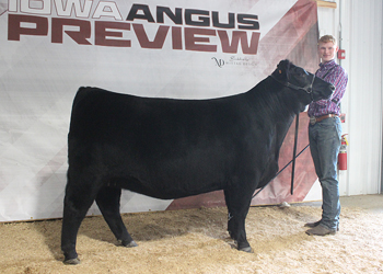 Senior Champion Female