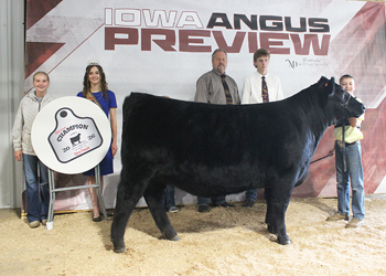 Reserve Grand Champion Female