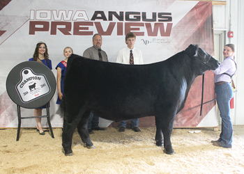 Grand Champion Steer