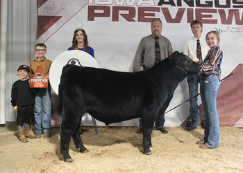Reserve Grand Champion Bull