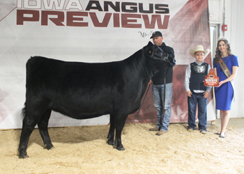 Reserve Intermediate Champion Heifer