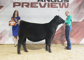 Senior Heifer Calf Champion