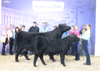 Reserve Grand Champion Cow-calf Pair