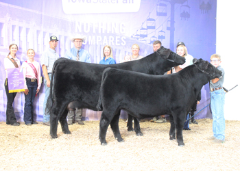 Grand Champion Cow-calf Pair
