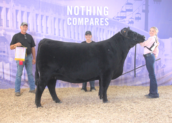 Reserve Senior Champion Female