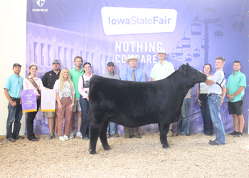 Reserve Grand Champion Female