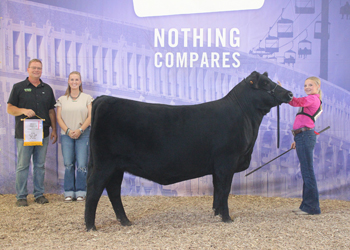 Reserve Intermediate Champion Heifer