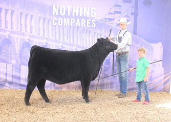 Reserve Senior Heifer Calf Champion