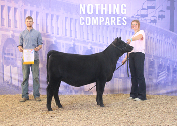 Reserve Junior Heifer Calf Champion