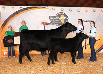 Grand Champion Cow-calf Pair