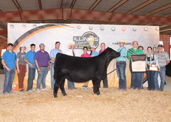 Grand Champion Owned Female