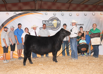 Reserve Grand Champion Owned Female
