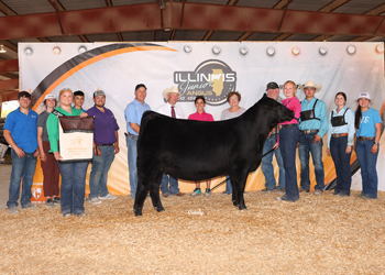 Third Overall Owned Champion Female