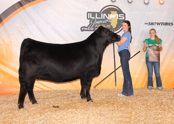 Owned Reserve Early Junior Champion Heifer