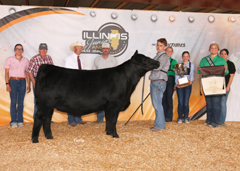 Grand Champion Bred-and-owned Female