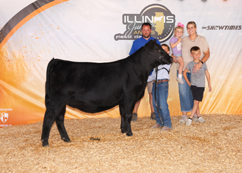 Owned Reserve Intermediate Champion Heifer