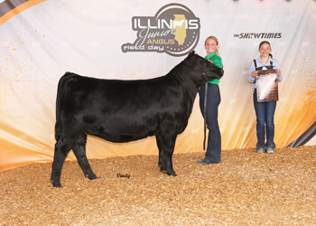 Bred-and-owned Reserve Intermediate Champion Heifer