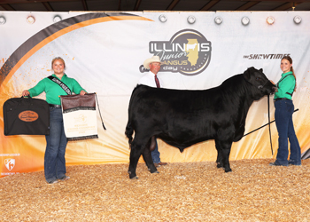 Reserve Grand Champion PGS Bull