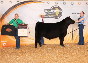 Grand Champion Steer