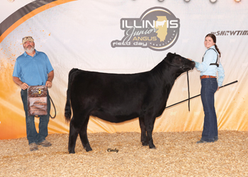 Owned Reserve Senior Heifer Calf Champion