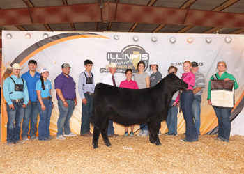 Fourth Overall Bred-and-owned Champion Female