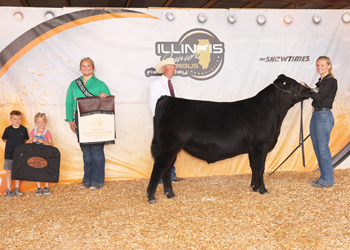 Reserve Grand Champion Bred-and-owned Bull