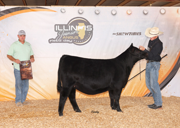 Owned Senior Heifer Calf Champion