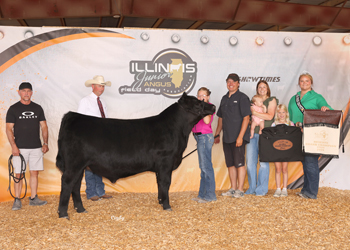 Reserve Grand Champion Steer