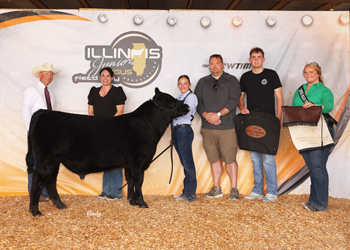 Grand Champion Bred-and-owned Bull