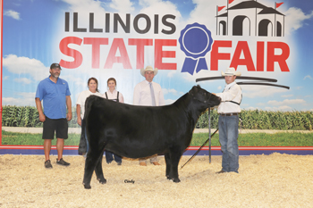 Reserve Grand Champion Female