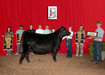 Grand Champion Owned Female