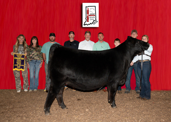 Reserve Grand Champion Owned Female