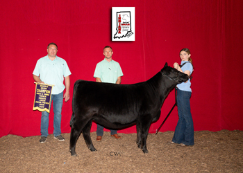 Reserve Grand Champion Bred-and-owned Female