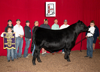 Grand Champion Steer