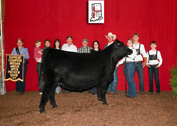 Grand Champion Female